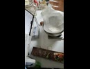 NDKツイキャス新音声.mp4