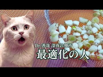 ドクター善哉深夜診療所「最適化の人」