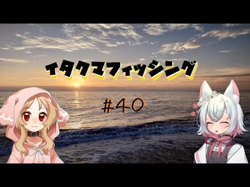 イタクマフィッシング＃40　すっかりはまるも筋トレには違いない