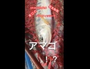 2026年5月16日投稿の緊急動画！本日の #山梨県 #フライフィッシング アマゴを愛しアマゴに愛される男！