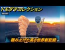 トモダチコレクション　積み上げた高さ世界新記録　ニュース放送局　島の住人観察日記（ポケモン編）　＃５８５　【トモコレわくわく生活】