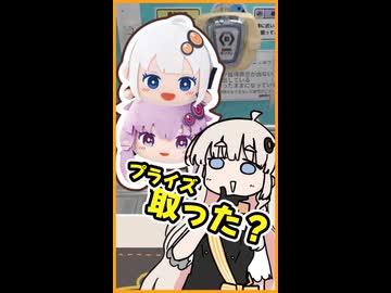 ゆづきずのBIGぬい取りました？