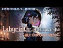 【V系カバー】Labyrinth～鏡には映らない君が～（PIERROT）【Vocal,宮舞モカ】