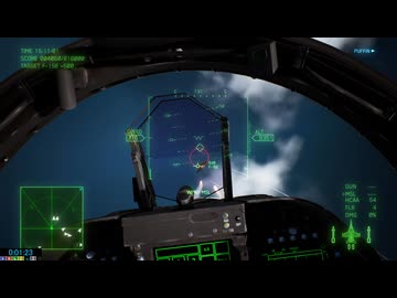 ACE COMBAT 7 RTA SP MISSION NG+ 日本語音声・F-18系のみ・機体被り・クイーンズカスタム禁止縛り 48分51秒 IGT 38分28秒