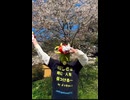 でぃすこみゅーたんと！を満開の桜の下で踊ってみた！　ショート動画