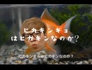 ヒカキンギョはヒカキンなのか？