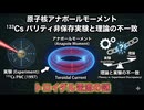 原子核アナポールモーメント：¹³³Cs パリティ非保存実験と理論の不一致（トロイダル電流の謎）