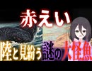 【妖怪解説】あまりにも大きすぎる怪魚『赤えい』【VOICEROID解説】