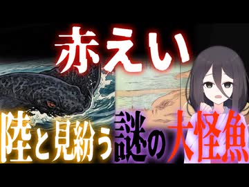 【妖怪解説】あまりにも大きすぎる怪魚『赤えい』【VOICEROID解説】
