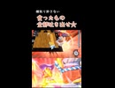横取りを許さないロッキー【カービィのエアライダー】