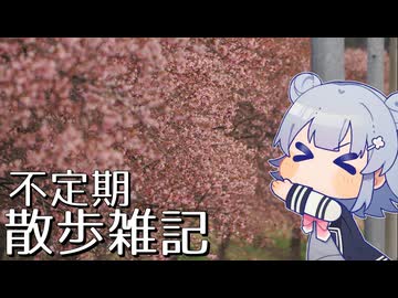 不定期散歩雑記_103 - 三分咲きの河津桜