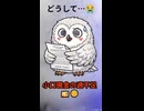 なぜかお金が余ってる！？pukutetsu、理由が分からなすぎてガチ恐怖