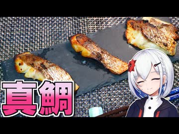 マダイ釣っていろいろ作る【音楽的同位体】