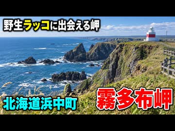 霧が本当に多かった　霧多布岬(北海道浜中町)