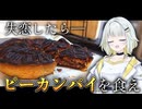 結論、動画投稿しばらく停止します【紡乃世詞音/ボイスロイド】