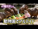 AI猫ポポたん 動物園でアルバイト