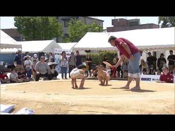 小学生ら約200人が参加　糸島わんぱく相撲大会　優勝者は福岡ブロック大会へ