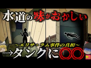 【2013】『水道から変な臭いがする』→貯水タンクで変死体発見。行方不明になっていた女性は何故こんな所に？彼女の奇怪な行動が映った録画はいったい何だったのか？「エリサ・ラム事件」を解説