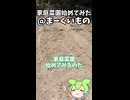 家庭菜園ショート1