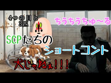 【SCPたちの】ちゅ～ると監視と犬じゃねぇ!!!【ショートコント】