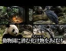 動物園とクトゥルフの融合。ああ、檻に、檻に！冒涜的な世界観へ没入していく【ゆっくり実況ミステリー】【黒野市動物公園】