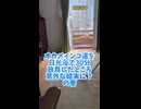 オカメインコ達を日光浴で３０分放鳥したところ意外な結末に！？