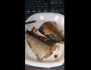 YMDD_115　マックスバリュ東海：塩さば