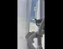 なぎはいそがし！