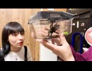 封じられたジェニー