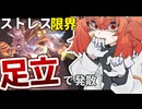 友達と遊ぶエアライダーは楽しいぞい11【カービィのエアライダー】