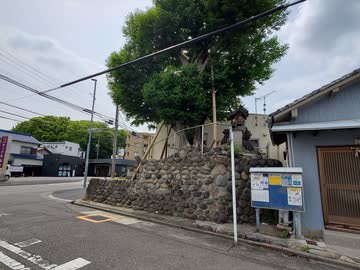 【服部将監】尾張国御器所東城 令和8年(2026) 晩春