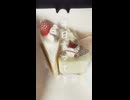【毎日ご褒美】息しただけで自分を甘やかし続けた女の末路…『ご褒美のループ』 #shorts #絶唱女子 #ガレージロック