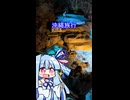 【ショート動画】沖縄旅行