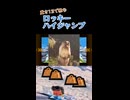 重さ13ロッキーでハイジャンプ！【カービィのエアライダー】
