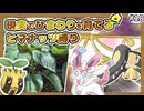 【ポケモンXY】ヒマナッツがひんしになったら『現実で向日葵を育てる縛り』（Part⑱）