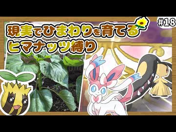 【ポケモンXY】ヒマナッツがひんしになったら『現実で向日葵を育てる縛り』（Part⑱）
