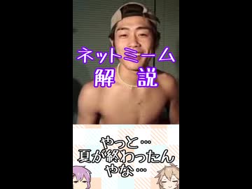 ゆかつむネットミーム淫夢ネタ解説【やっと…夏が終わったんやな…】