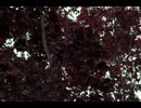 depth
