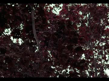 depth