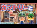 【あつ森】激ムズ！カントリーな部屋作り＆住民の入れ替わり！｜あつまれ全肯定の森 #47【実況】