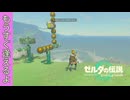 【ティアキン】3段バクダンでゴールを決める動画【コロコロ】
