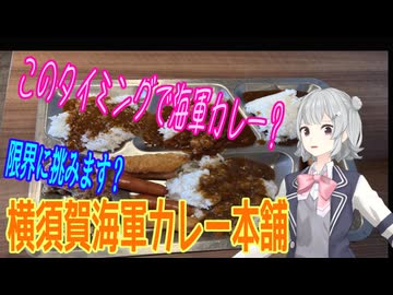 限界に挑む？海軍カレーの食べ放題 in 横須賀海軍カレー本舗【小春六花誕生祭2026】