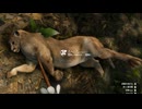 [Green Hell] ジャングル動物園12 [緑色の地獄]