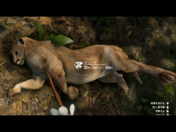 [Green Hell] ジャングル動物園12 [緑色の地獄]