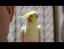 ペットショップに行ったら
