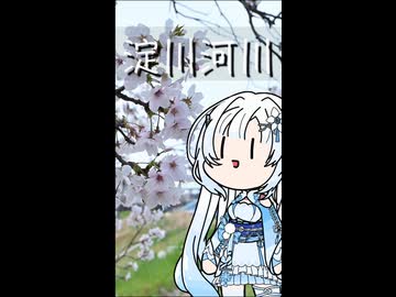雪さんのナレーションで見る 淀川河川の桜並木