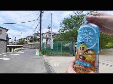 【散歩】千葉県流山市向小金-柏市光ケ丘を歩く【鰭ヶ崎三本松古墳発増尾行き編 part5①】