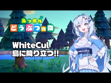 【あつ森】WhiteCul、島に降り立つ【25動グループフェス】