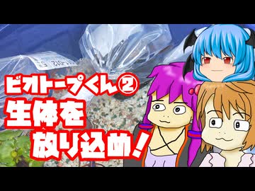 生体を放り込むのじゃ（ビオトープ編 その２）【ちょっとあったコケはエビが食べた】