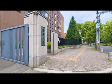 【散歩】千葉県流山市向小金-柏市光ケ丘を歩く【鰭ヶ崎三本松古墳発増尾行き編 part5②】